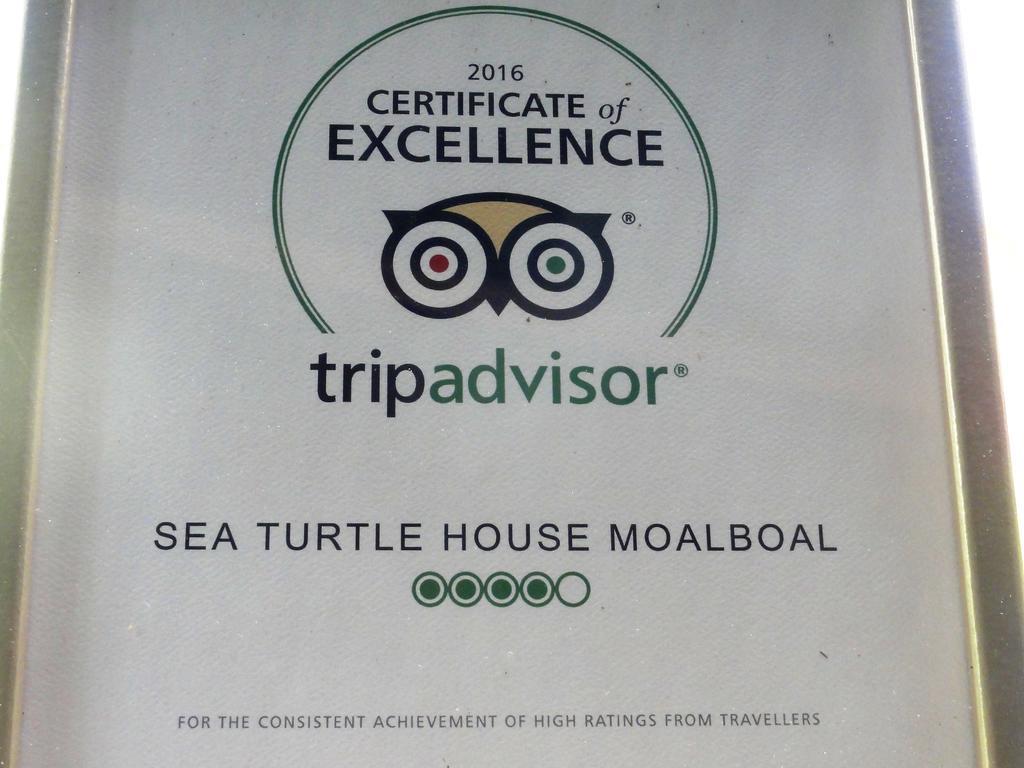 Sea Turtle House Moalboal Hotel Екстериор снимка