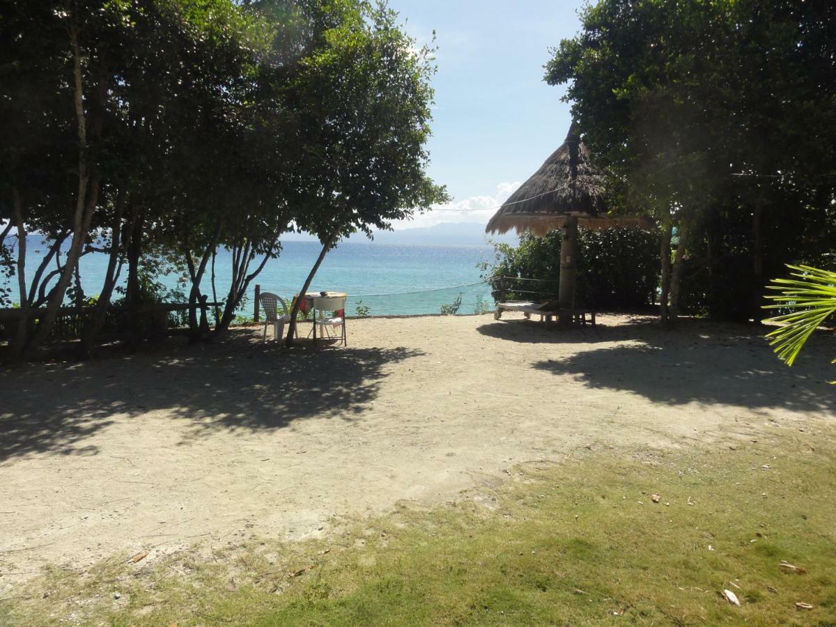 Sea Turtle House Moalboal Hotel Екстериор снимка