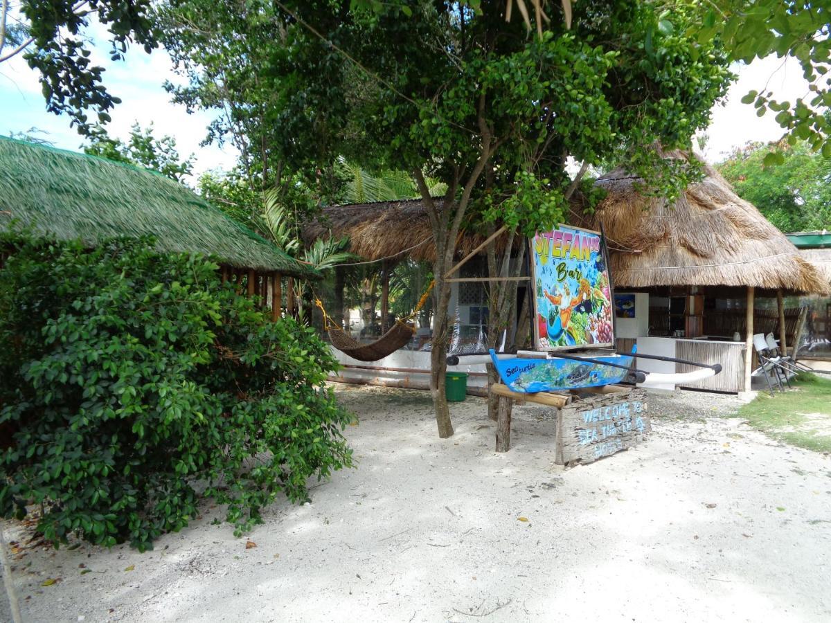 Sea Turtle House Moalboal Hotel Екстериор снимка